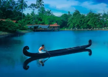 Discover Kerala: A Complete Travel Guide for International Visitors