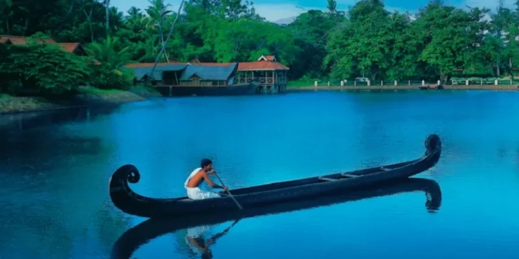 Discover Kerala: A Complete Travel Guide for International Visitors