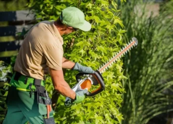 Tree Pruning: Seasonal Timing, Safety Checks, and Smart Cuts in Nashville, TN