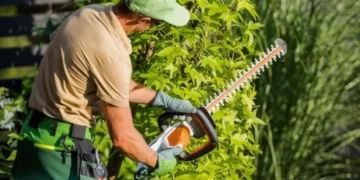 Tree Pruning: Seasonal Timing, Safety Checks, and Smart Cuts in Nashville, TN